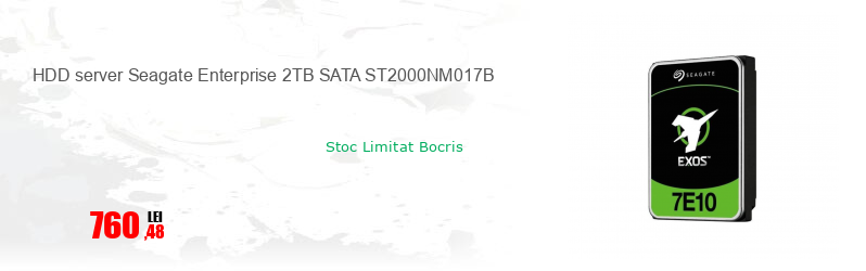 HDD server Seagate Enterprise 2TB SATA ST2000NM017B