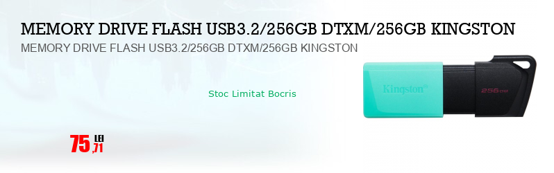 MEMORY DRIVE FLASH USB3.2/256GB DTXM/256GB KINGSTON