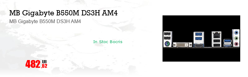 MB Gigabyte B550M DS3H AM4