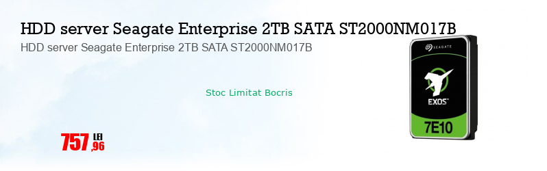 HDD server Seagate Enterprise 2TB SATA ST2000NM017B